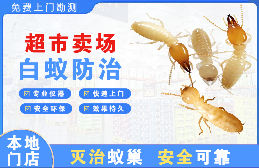 昭通超市卖场白蚁防治