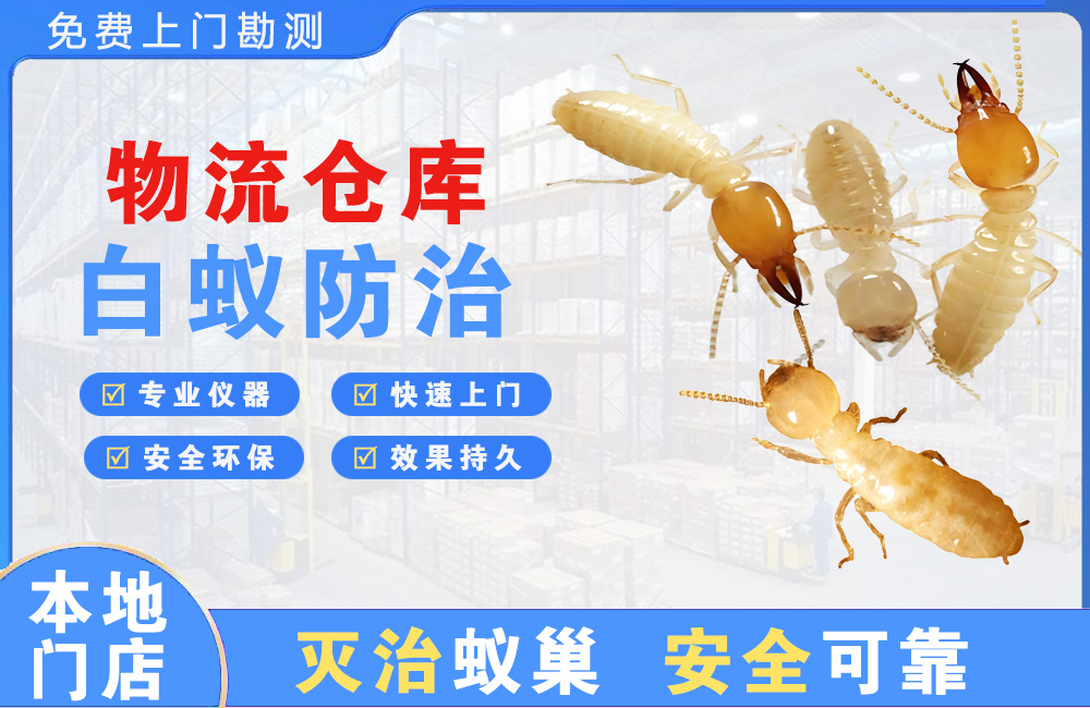 昭通物流仓库白蚁防治