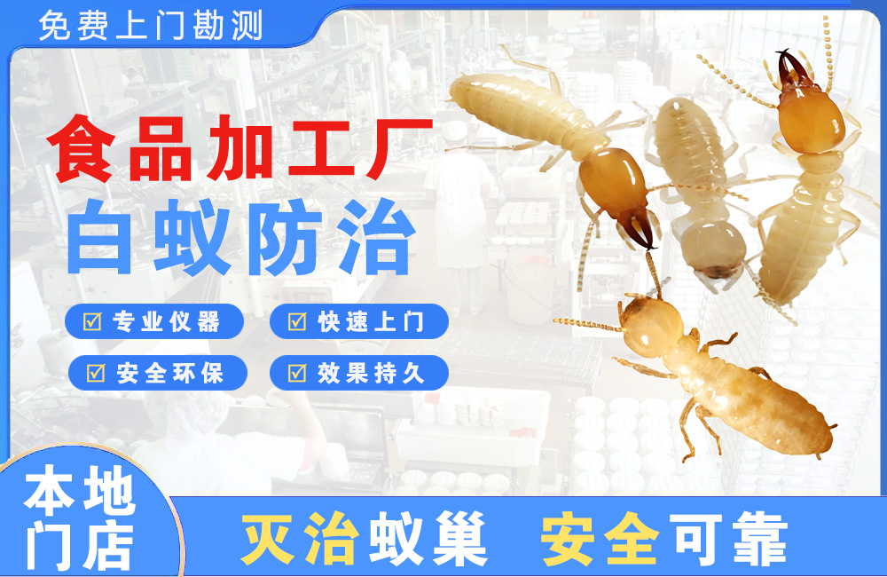 昭通食品加工厂白蚁防治