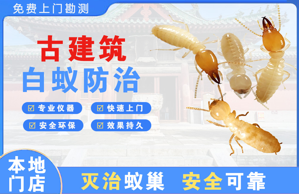 昭通古建筑白蚁防治