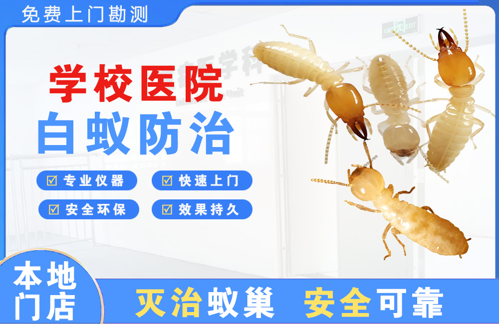 昭通学校医院白蚁防治