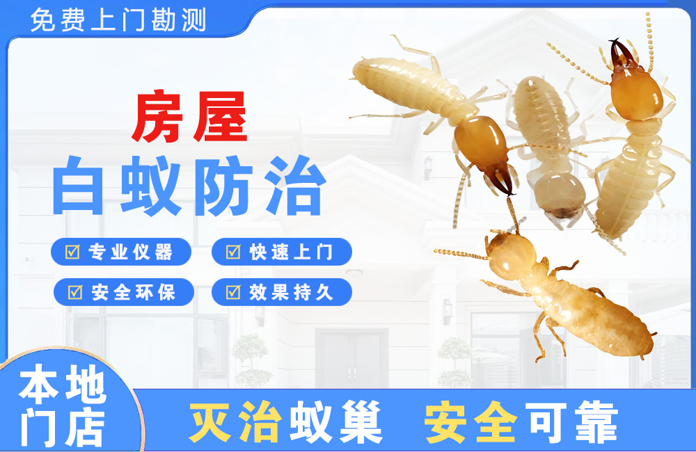 昭通房屋白蚁防治