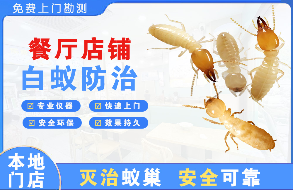 昭通餐厅店铺白蚁防治